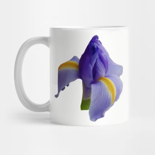 Blue Iris Floral Photo Mug